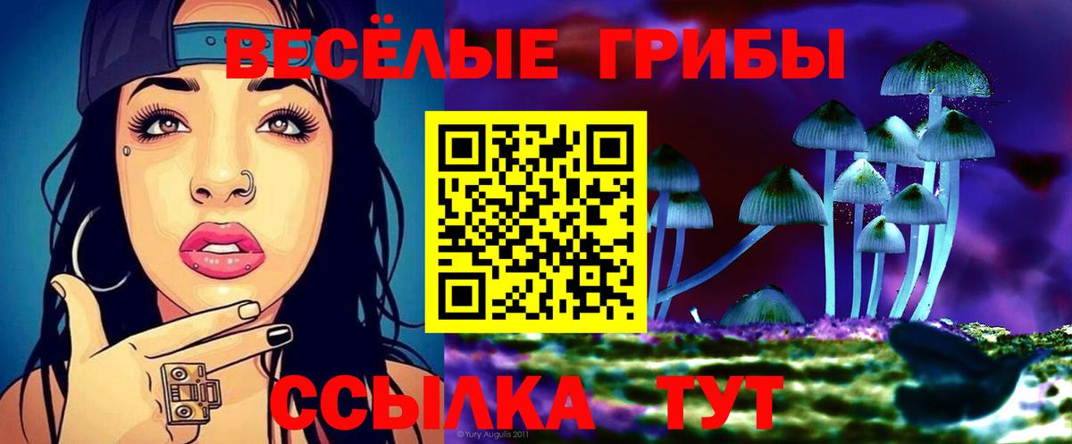 Псилоцибиновые грибы ЛСД Нижний Тагил